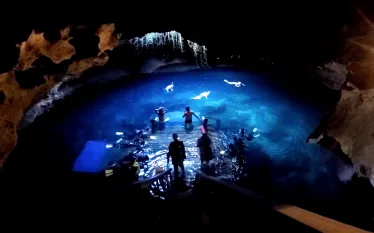 scuba-diving-devils-den-florida.png.webp