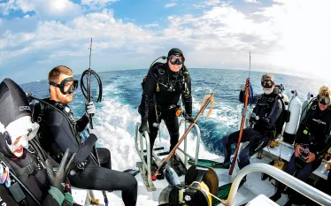 scuba-diving-shark-diving-randy-jordan-emerald-charters-.jpg.webp