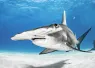 BELOW_SURFACE_TOBIAS_FRIEDRICH__BELOW_SURFACE_TOBIAS_FRIEDRICH___I___edit.jpg.webp