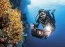 BELOW_SURFACE_TOBIAS_FRIEDRICH___HI-Enhanced-NR_____edit.jpg.webp