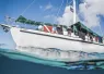 Blackbeards-Sea-Explorer-w-fins--Brandi-Mueller_edit.jpg.webp