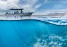 HMs_Martin_Broen_Mobula-Fever---Martin-Broen_edit.jpg.webp