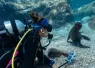 Paterakis_LaPaz_FourthElement_LosIslotes_DiveGurus--small.jpg.webp