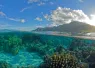 frenchpolyneisa_mooreadiving_vavea photography_shutterstock_.jpg.webp