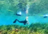 rainbow_river_dive-_.png.webp