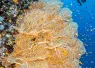 below_surface_tobias_friedrich__i_edit.jpg.webp