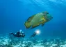 below_surface_tobias_friedrich__i_edit.jpg.webp