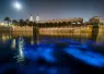 bioluminescentplanktoninkaust_morganbenett-smith_teaser_.jpg.webp
