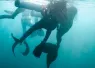 catalina-island-mermaid-rescue-credit-darren_joshua-leonardi_nativ-productions.png.webp