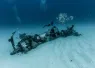 copy_of_--_birthday_dive_.jpg.webp