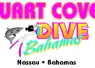 db-logo-color-nassau_bahamas.jpg.webp