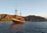 dive_damai_web_article_image_x.png.webp