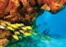fl_keys_digital_wbdr_article_images_x_image.png.webp