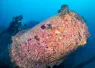 fl_keys_eagle_wreck_article_images_x_image.png.webp