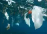 great_pacific_garbage_patch_teaser-_.png.webp