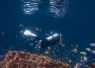 loreto_tourism_web_article_images_x_image.png.webp