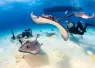 scuba_divers_surrounded_by_stingrays_in_shallow_water.jpeg.webp