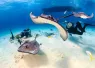 scuba_divers_surrounded_by_stingrays_in_shallow_water.jpg.webp
