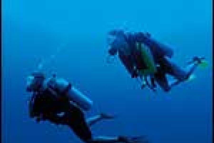 www.scubadiving.com