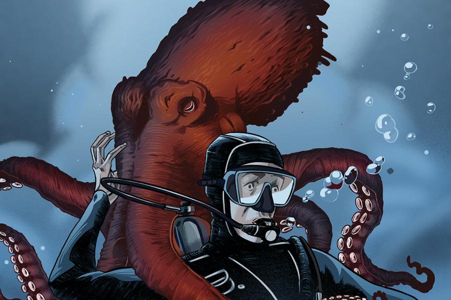 Octopus cheap pier attack