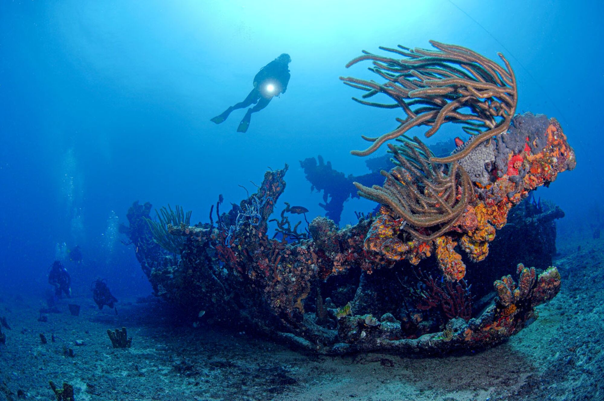 diver on the Rhone shipwreck, BVI