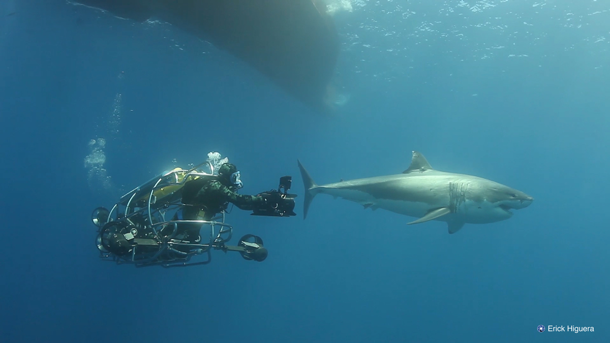 Self Propelled Shark Cage