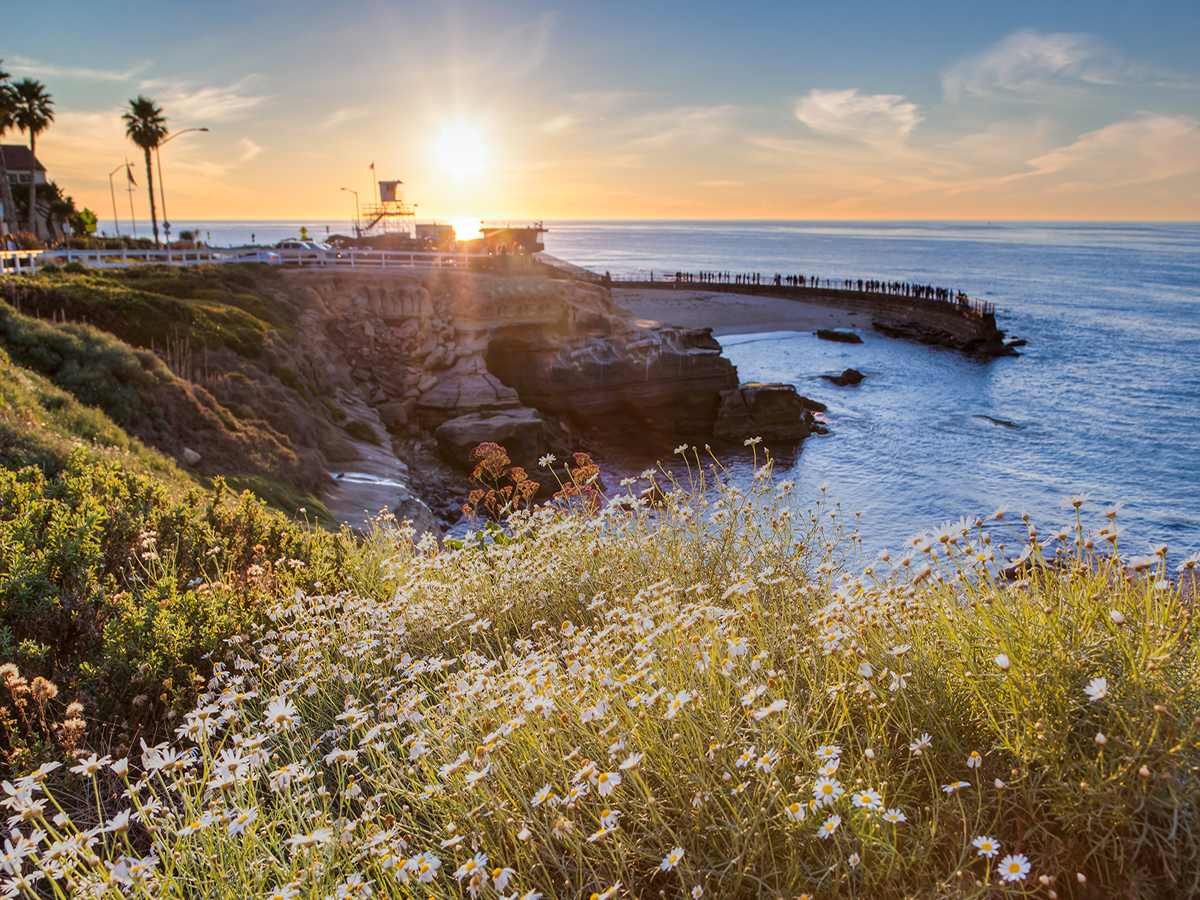 La Jolla beach cove