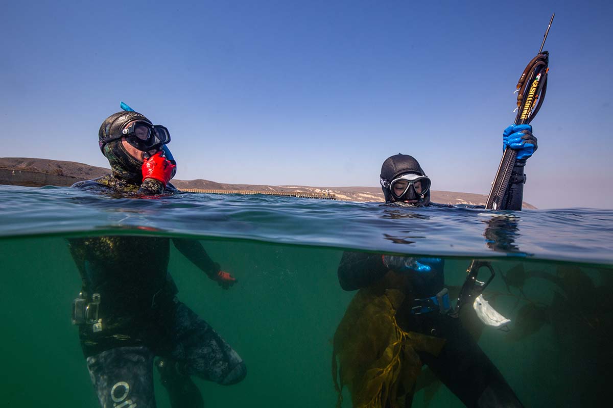 Spearfishers at surface