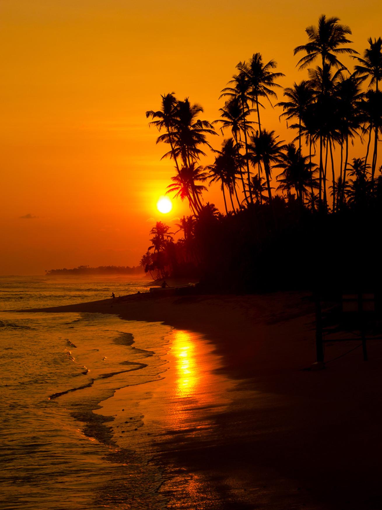 Sri Lanka beach sunset