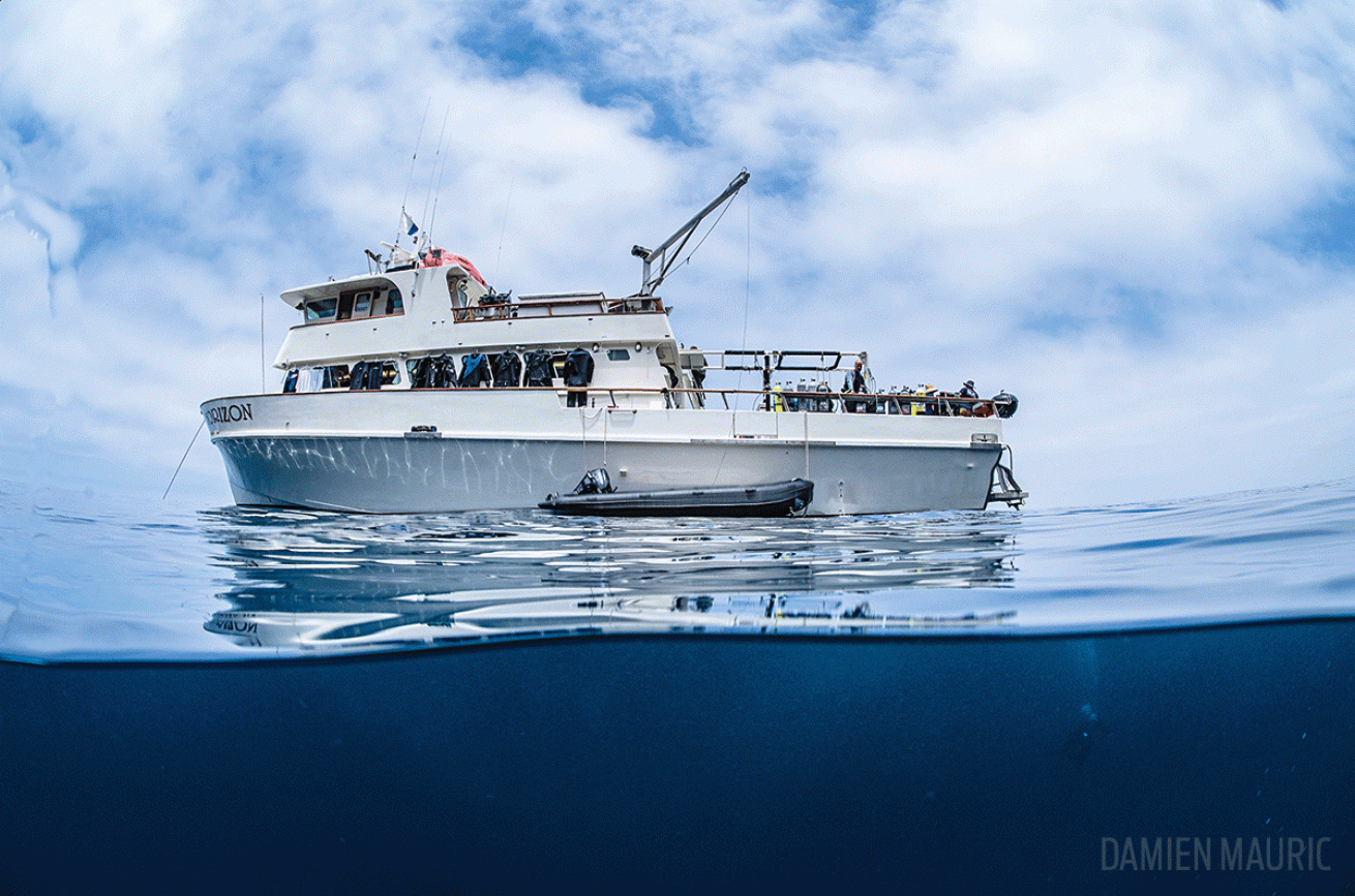 Horizon liveaboard vessel wideshot