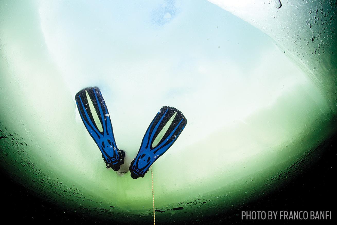 russia white sea underwater photo scuba diving