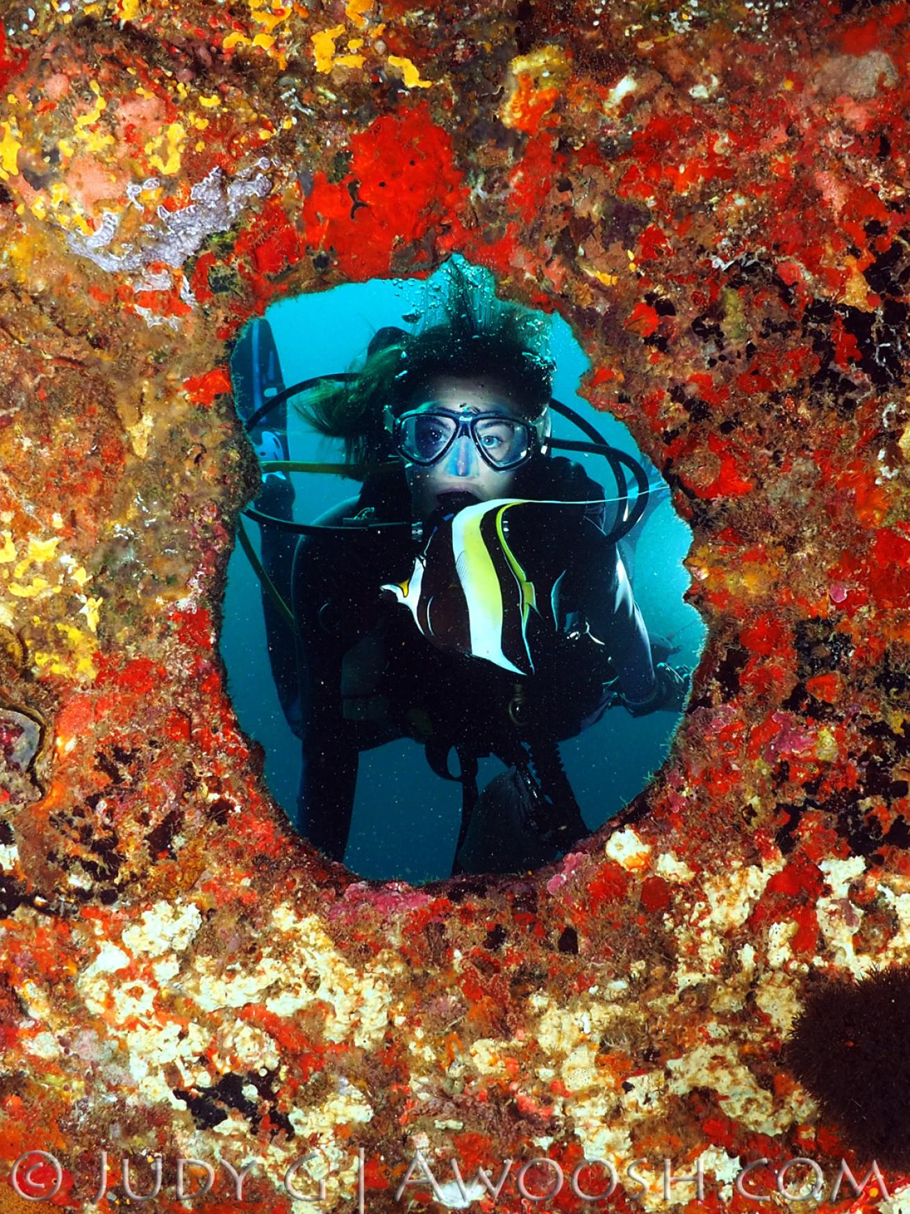 Scuba diver peeks through a hole at Elephant Rock dive site, Thailand