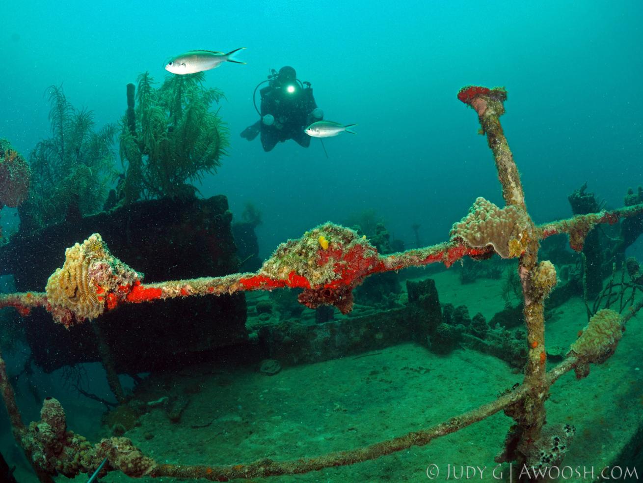 Diver on CoCo View House Reef in Roatan Honduras Underwater