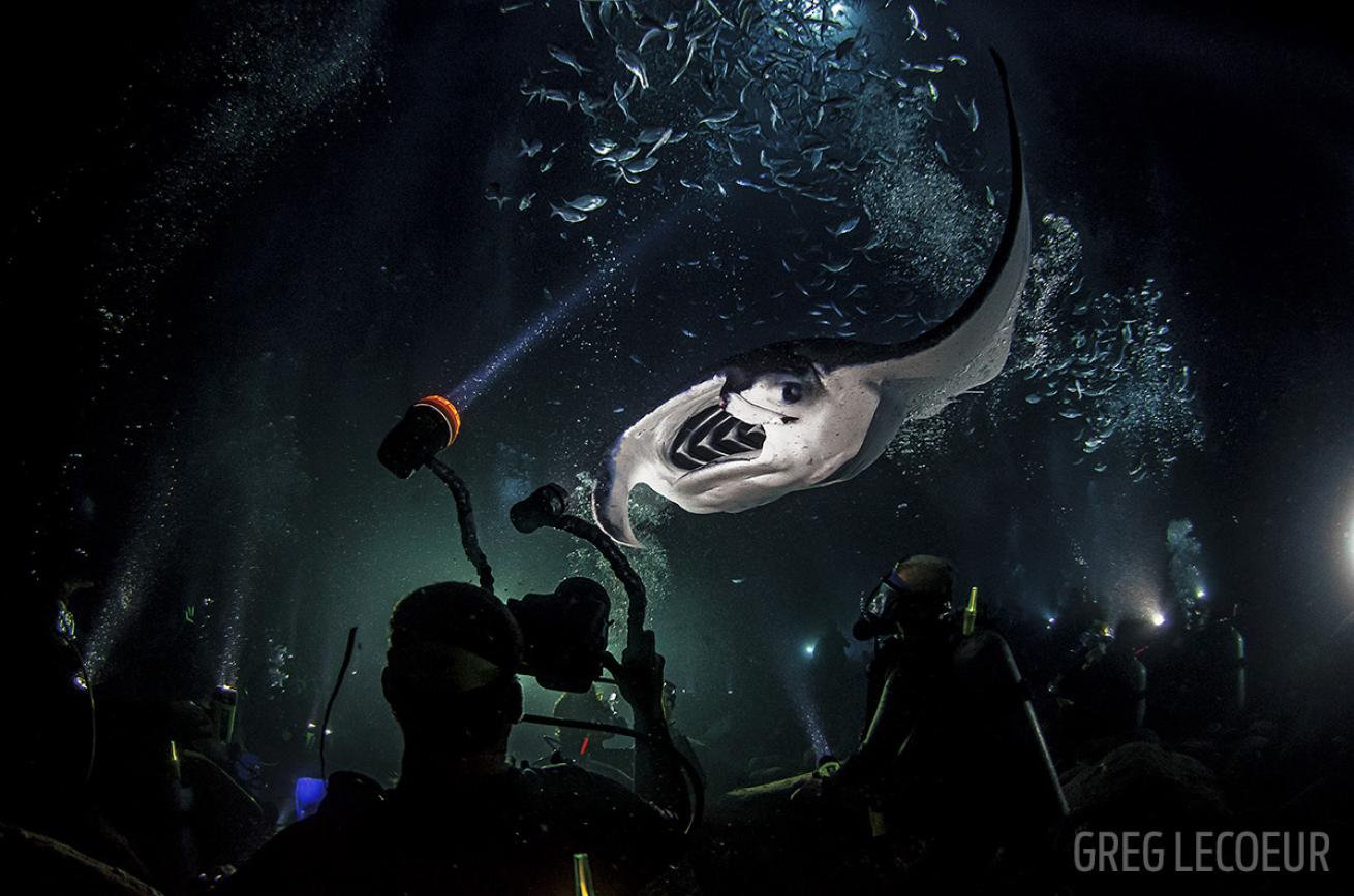 Scuba diving with mantas at night in Kona, Hawaii. 