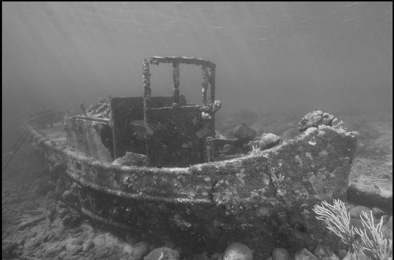 Underwater Photo of a Shipwreck with Black and White Filter