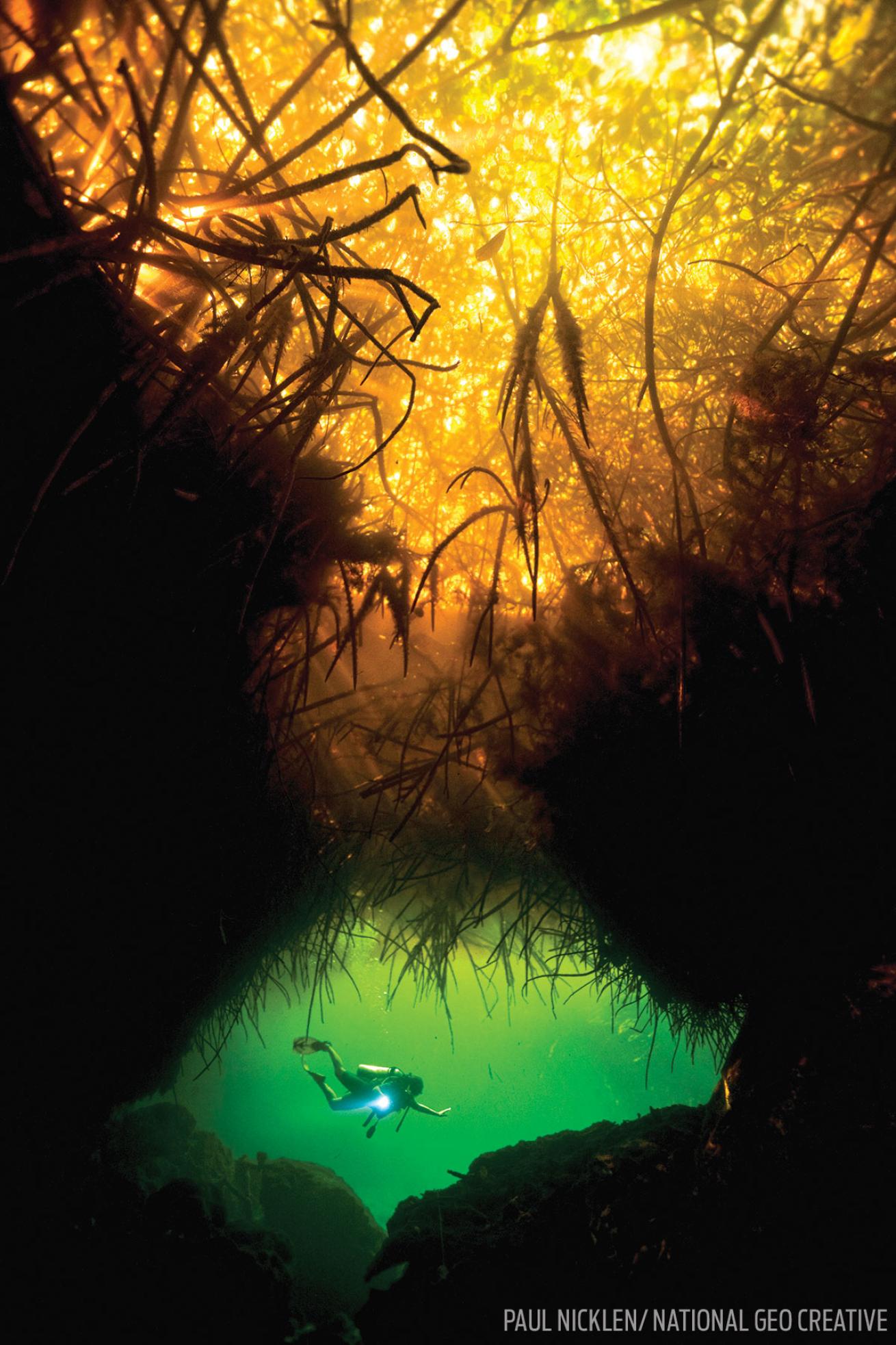 Scuba diving the cenotes and caverns in the Yucatan Peninsula