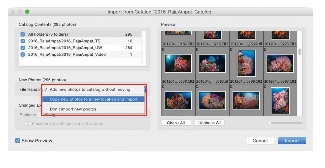 How to locate catalogs in Adobe Lightroom