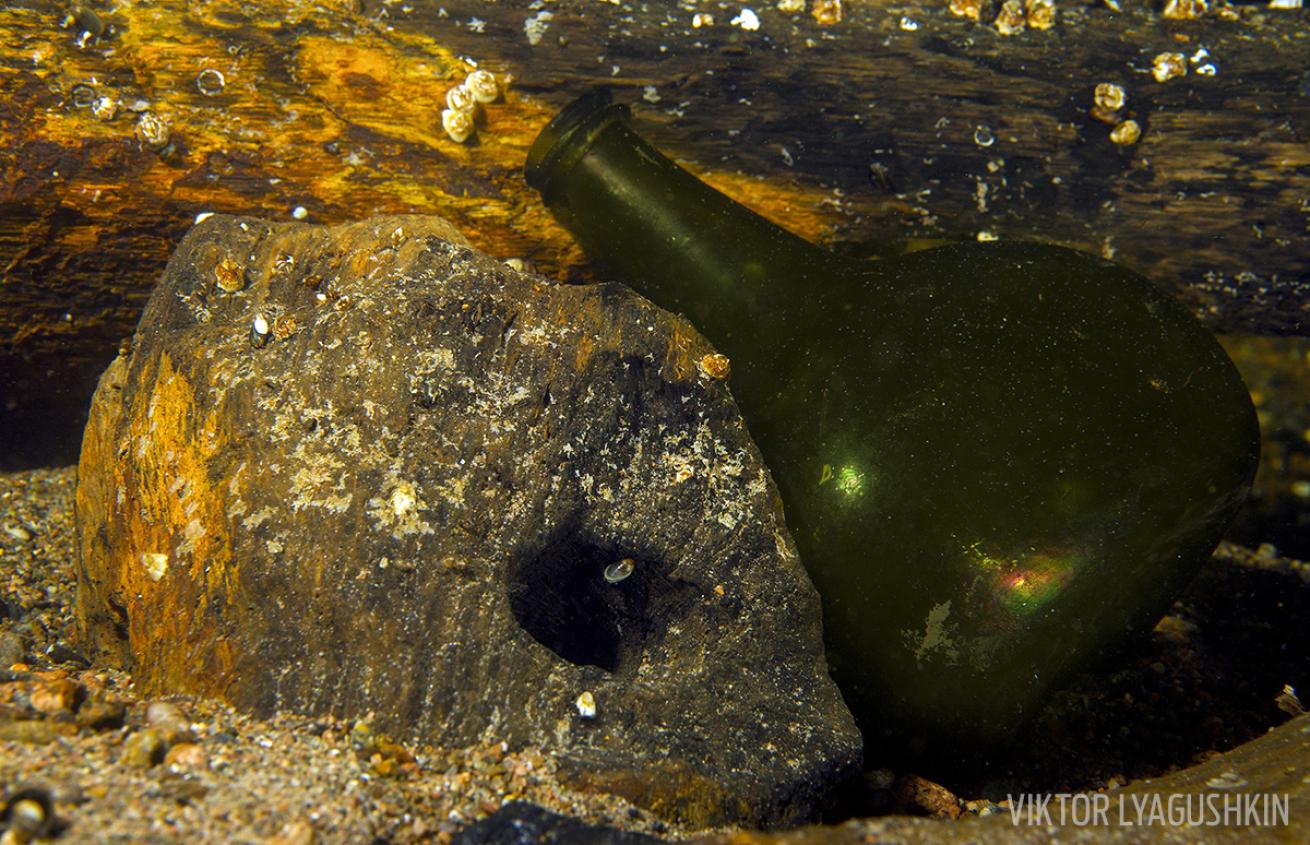 Shipwreck Artifacts Russia Baltic Sea