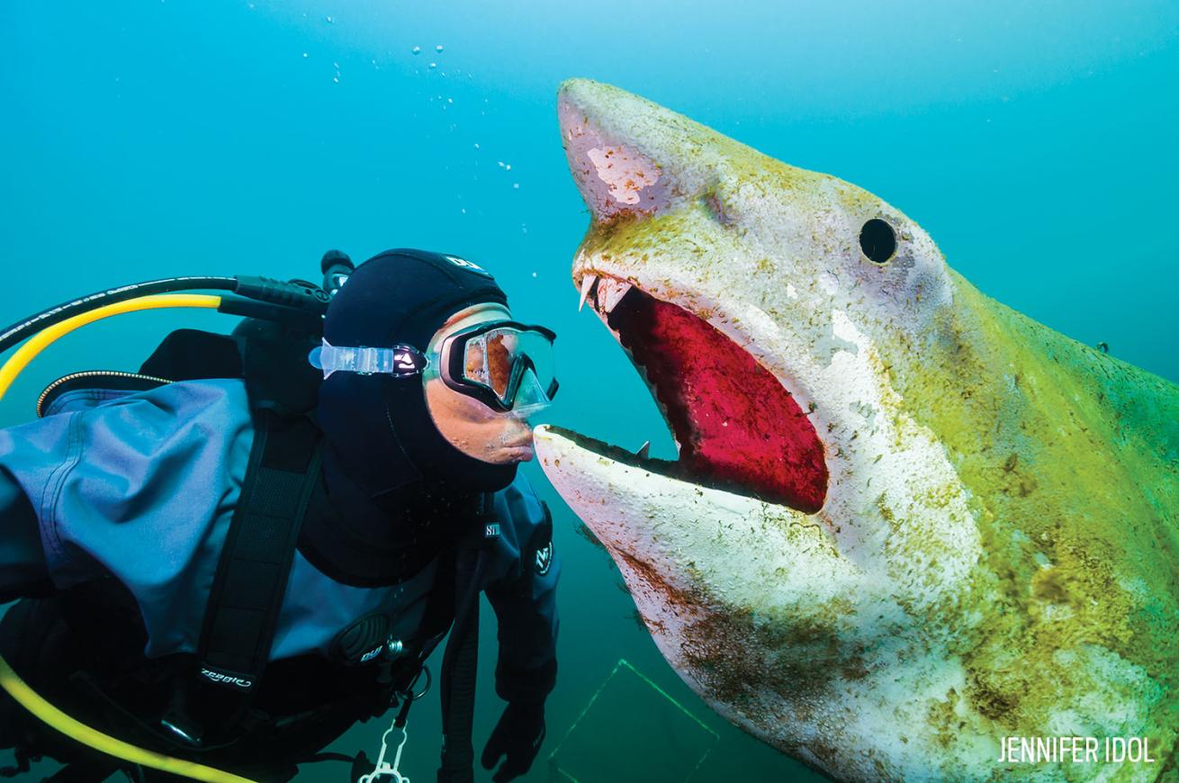 Diver and Shark Statue Tennessee Scuba Diving