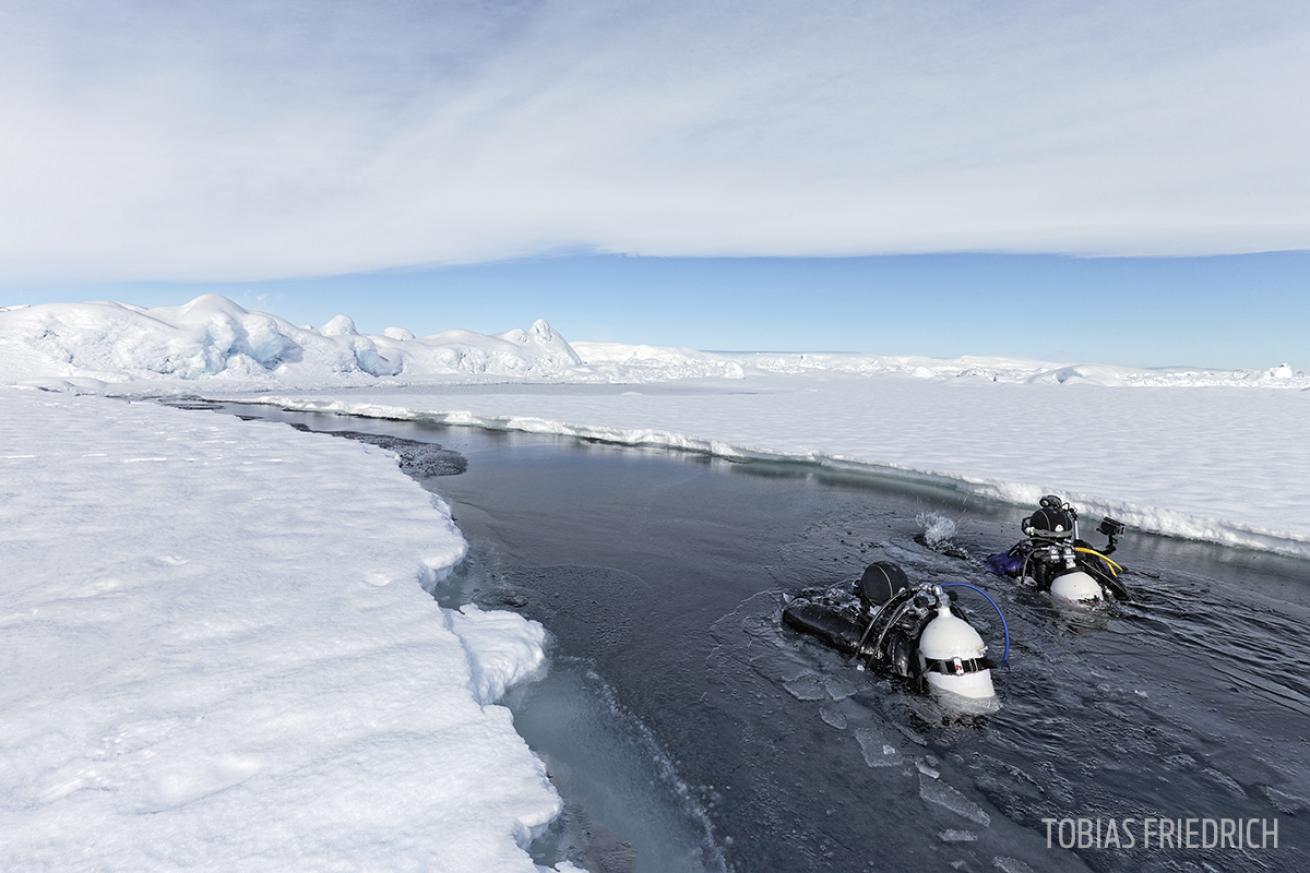 Divers Swimming Between Crack in Ice