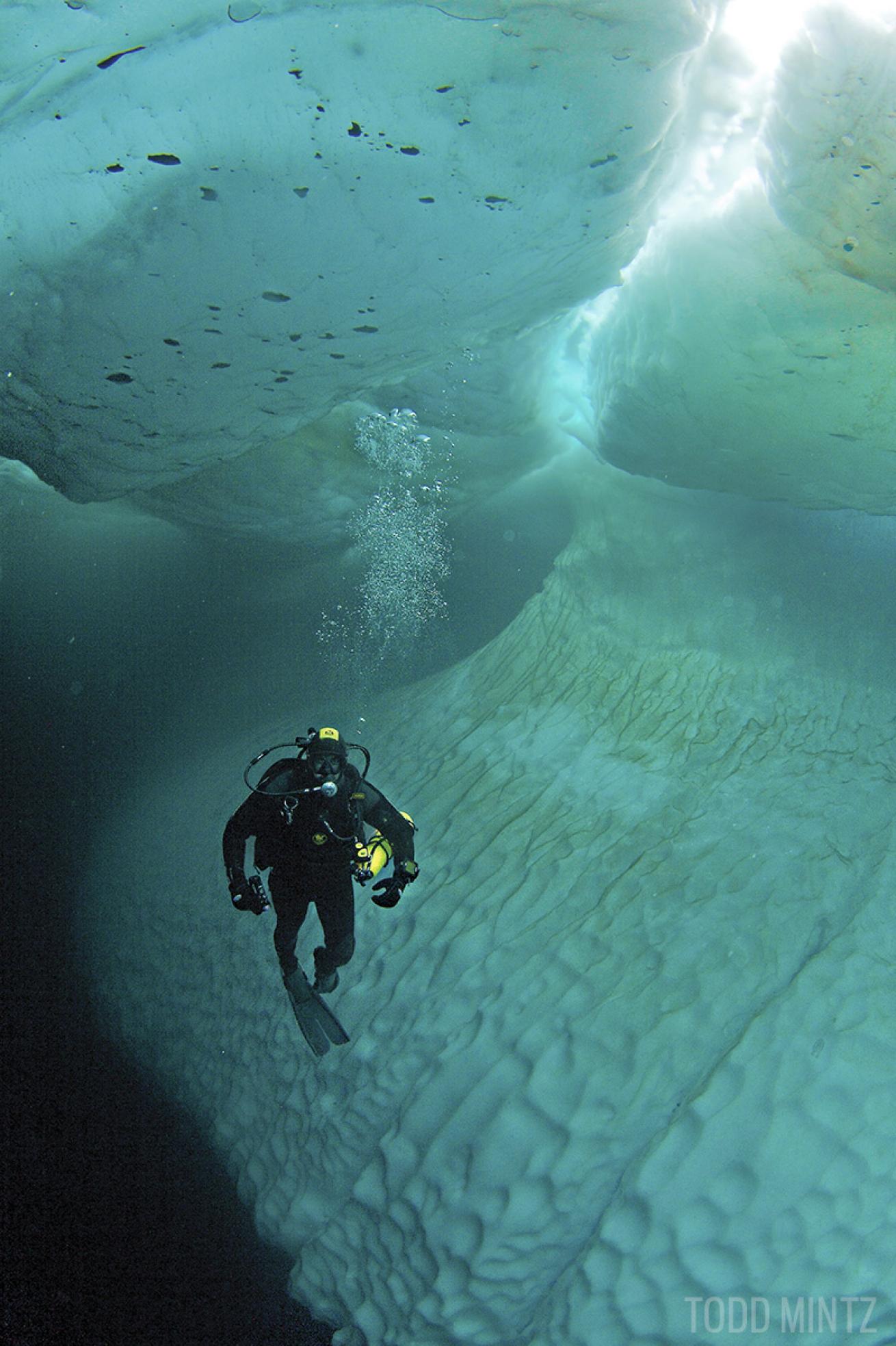 Ice Diving Canada