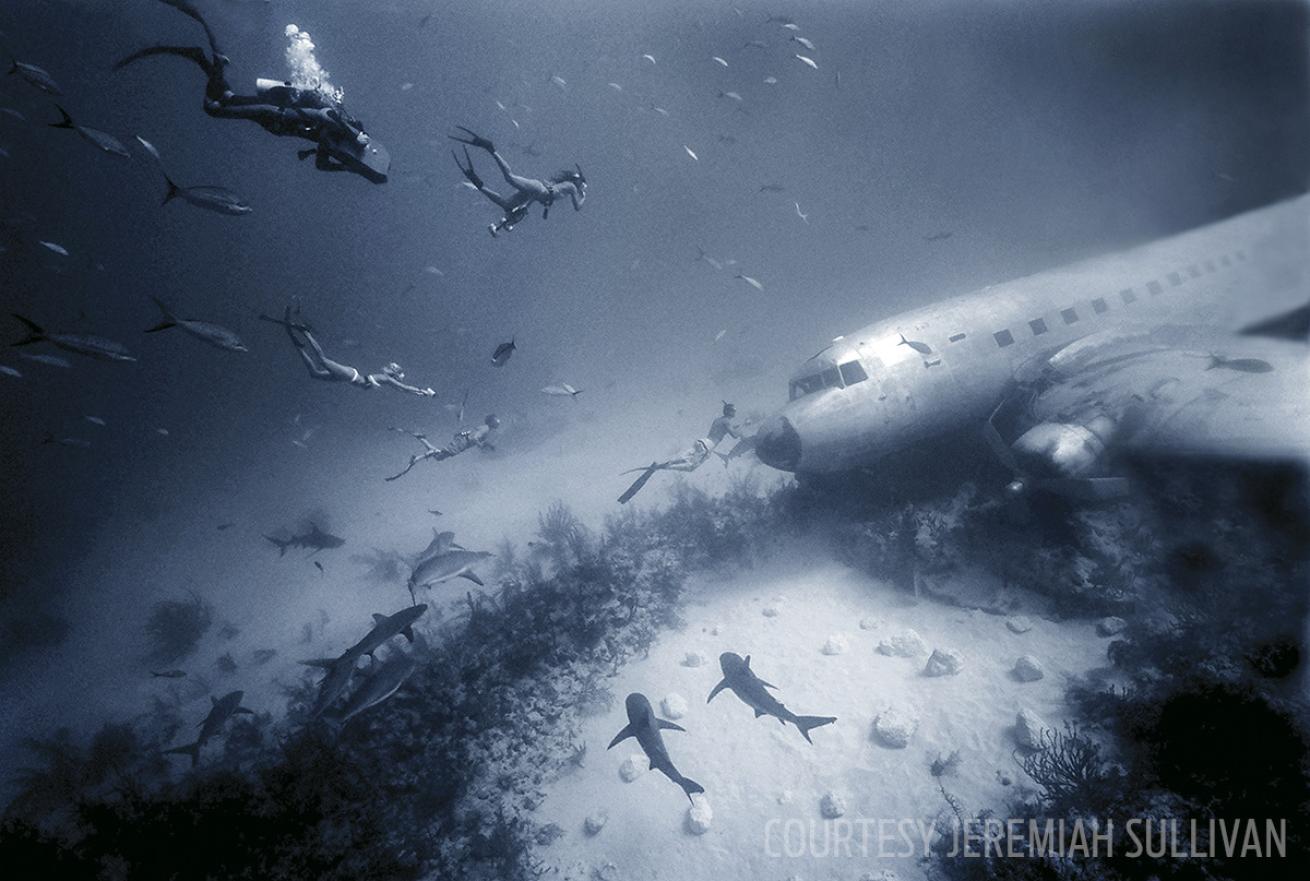 Underwater airplane wreck with sharks, Bahamas