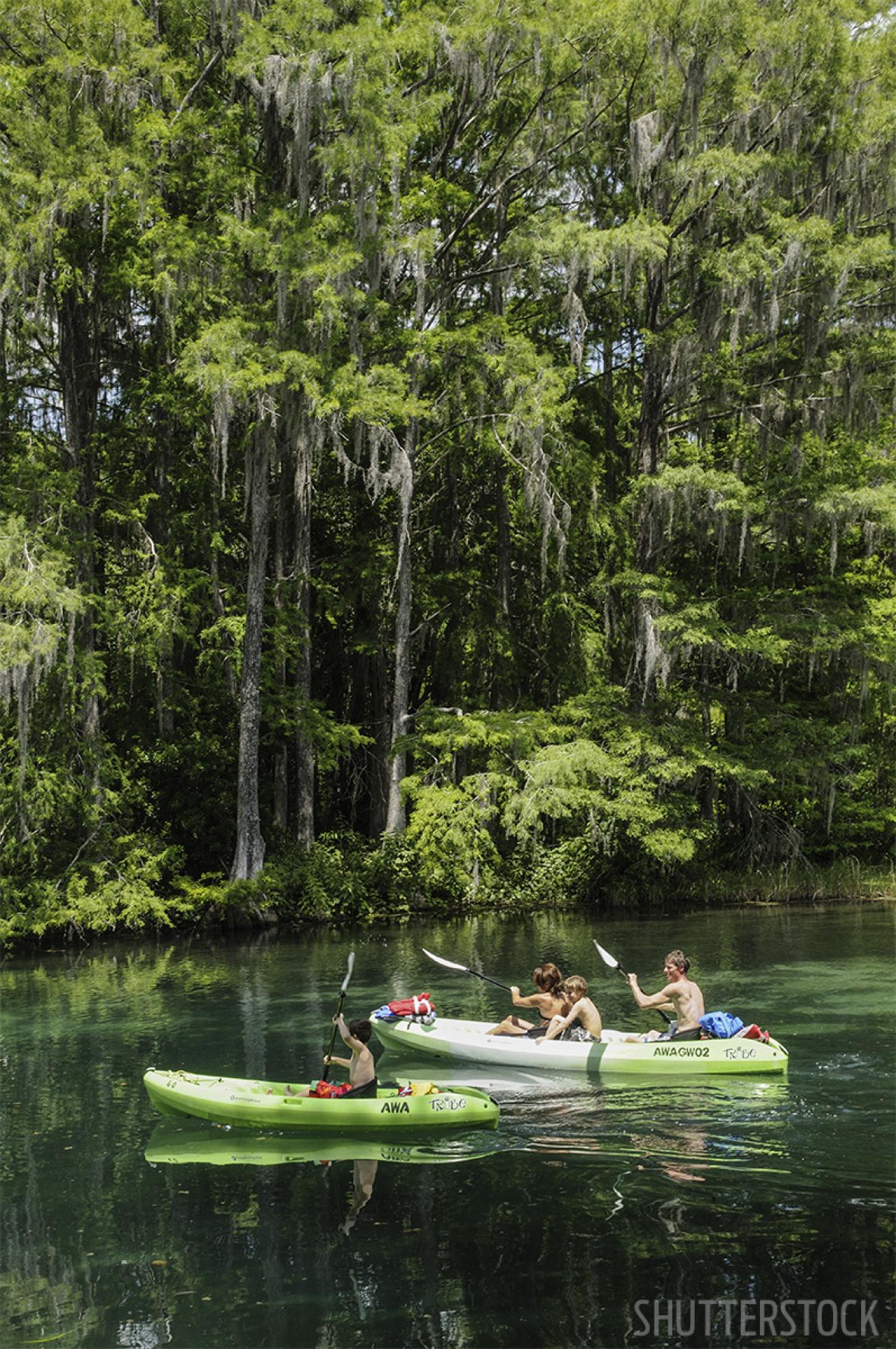 Kayaking on Crystal River, Florida with manatees