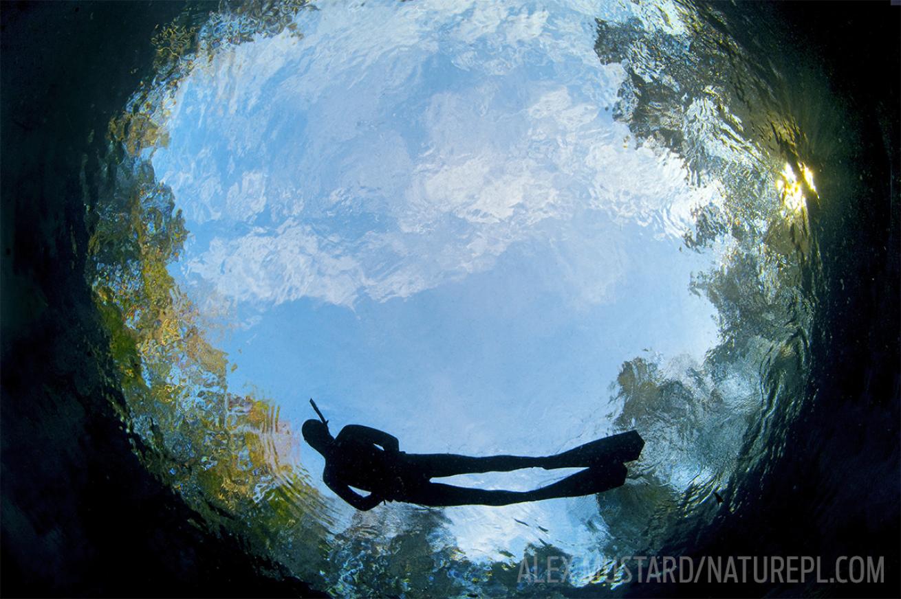 Snorkeling in Crystal River and Rainbow River Florida with Manatees