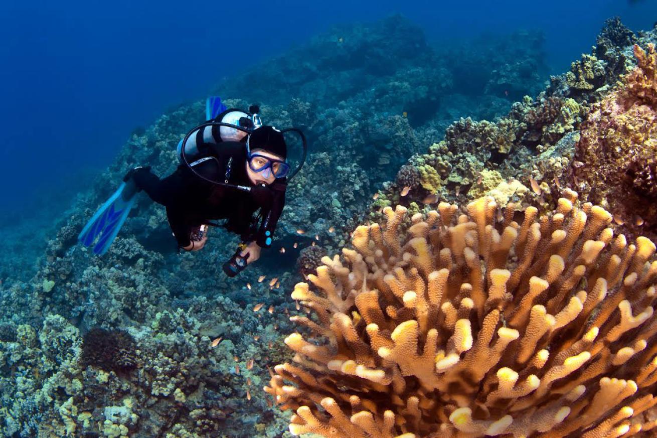 scuba diving on a Kona reef