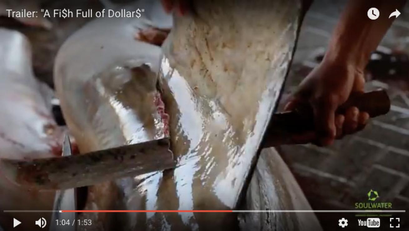 scene from trailer Fish Full of Dollars