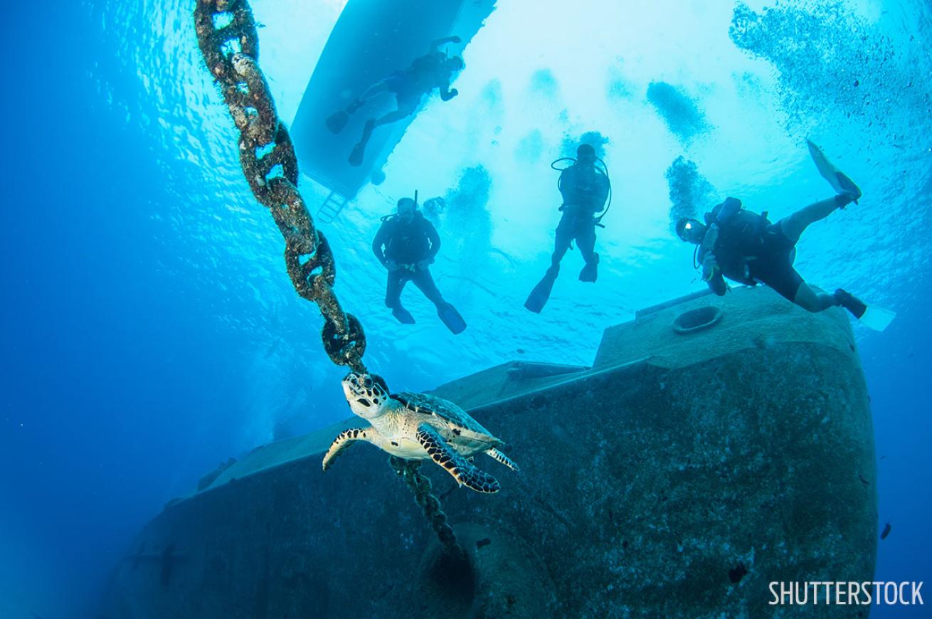Scuba diving wreck with sea turtle Kittiwake Grand Cayman