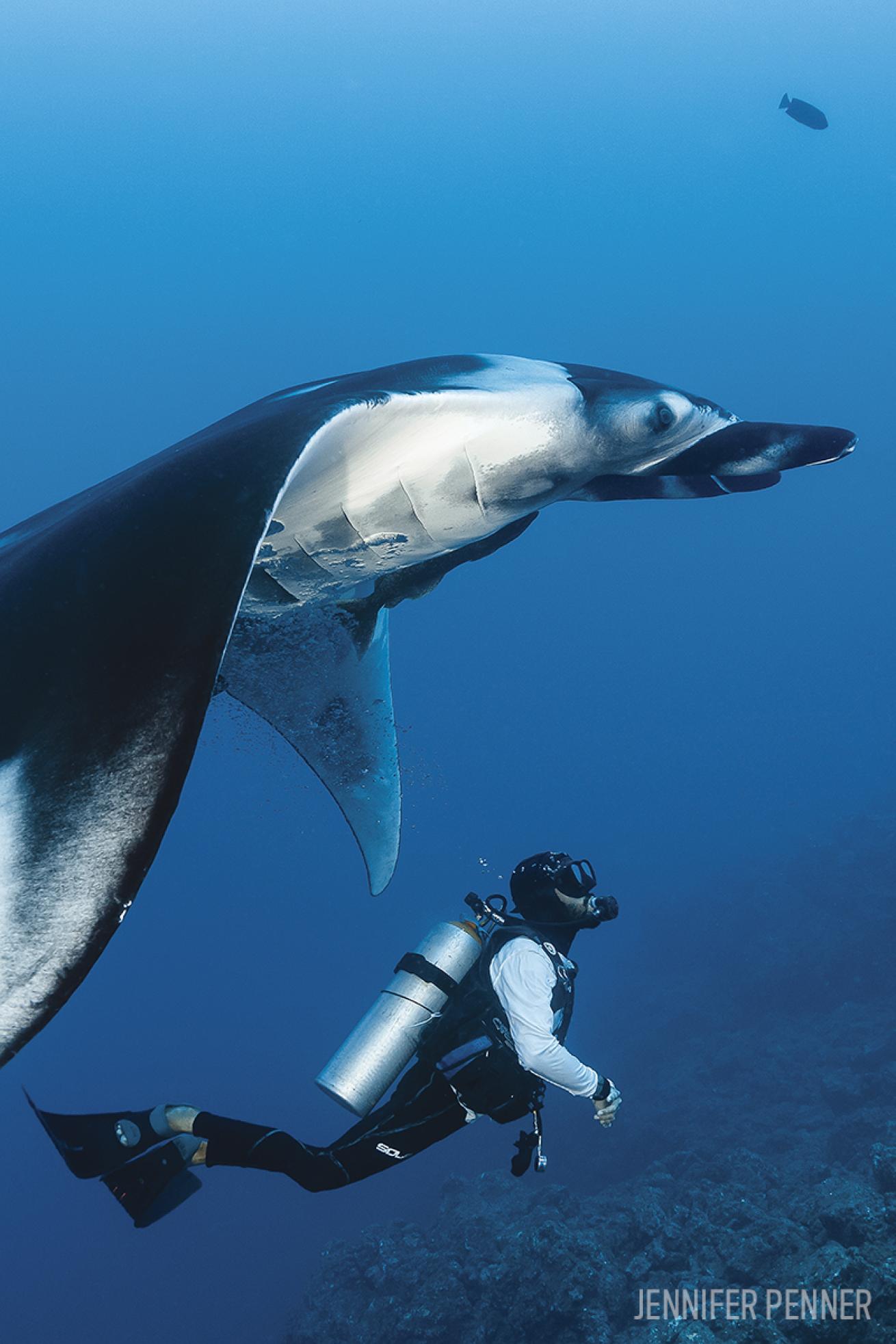 scuba diving socorros