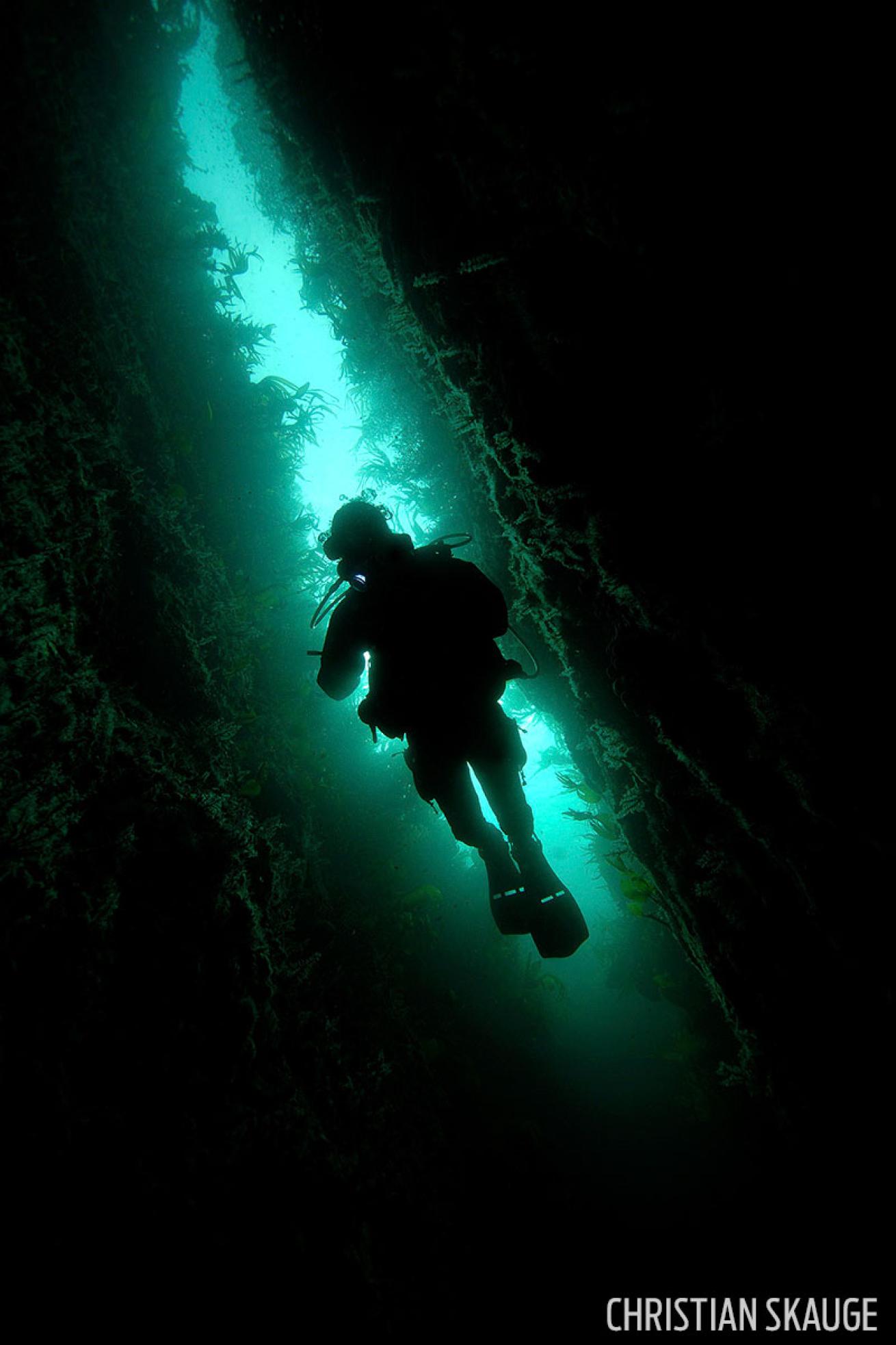scuba diving in norway