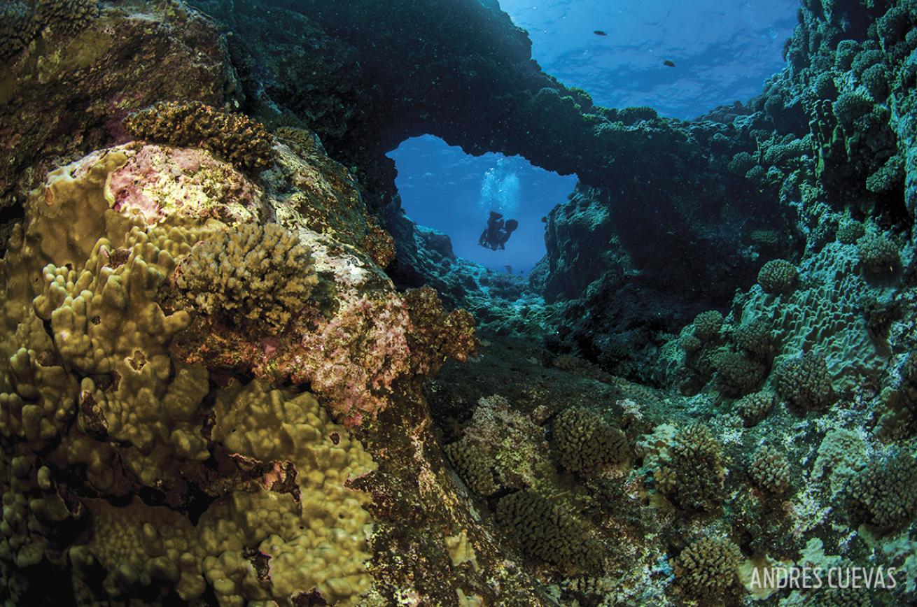 scuba diving rapa nui national park 